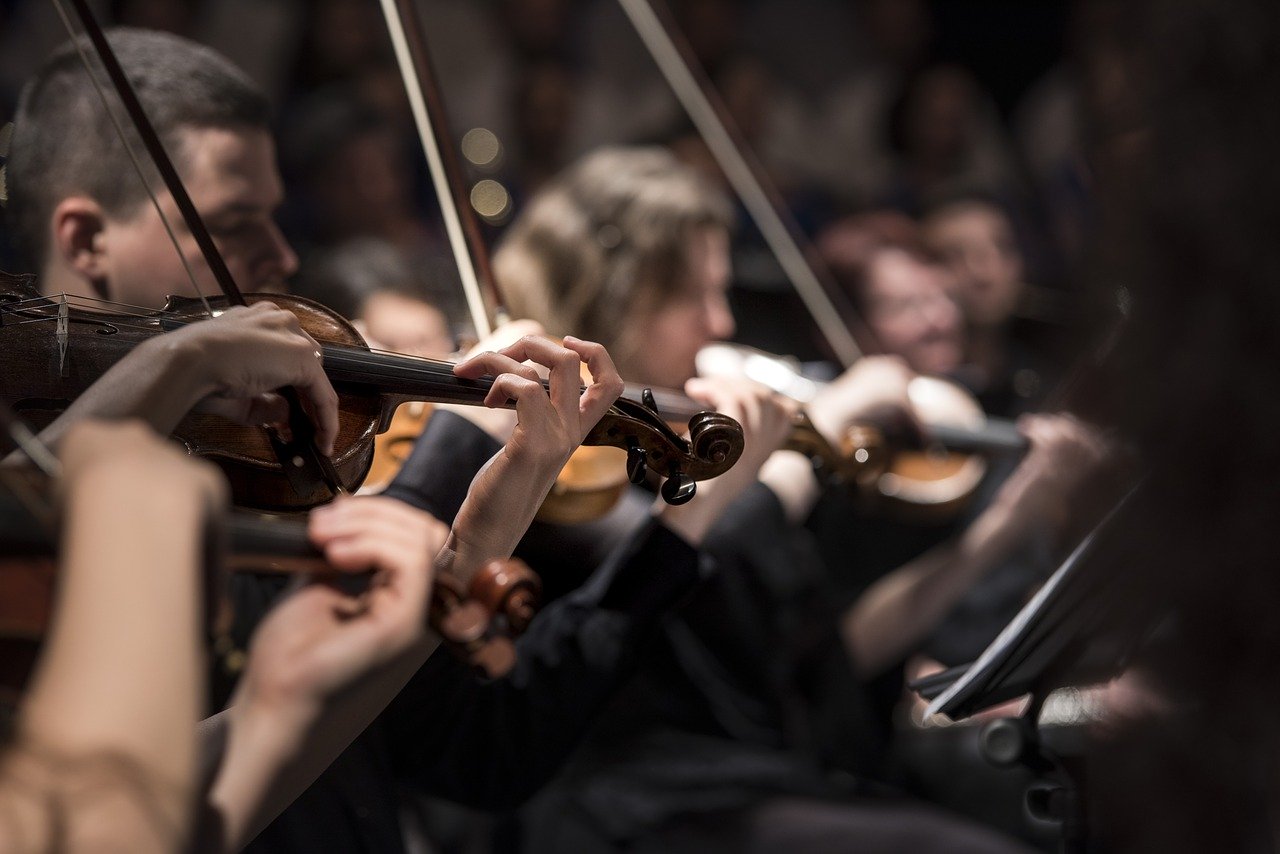 Classical Music Concert Macro Music  - Pexels / Pixabay